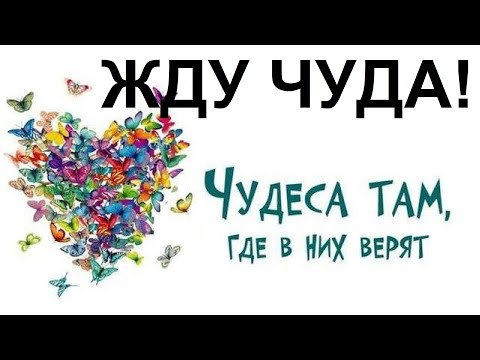 Видео: ДЛЯ ТЕХ, КТО ЖДЁТ ЧУДА!  ДА! ЕСТЬ НАД ЧЕМ ЗАДУМАТЬСЯ