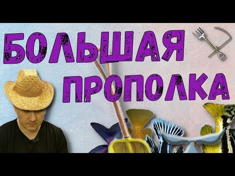 Видео: Обзорный ролик / Цихлиды / Цинотиляпия Галлирея Риф / Снежный принц / Аулонокары / Еллоу