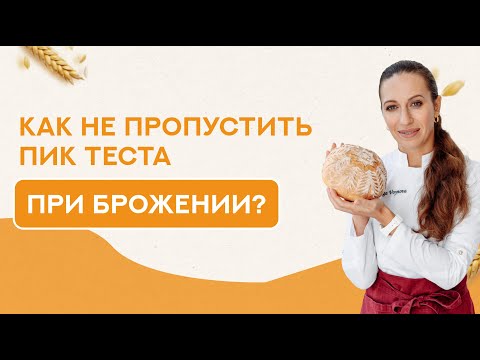 Видео: Как не пропустить пик пшеничного теста при брожении?