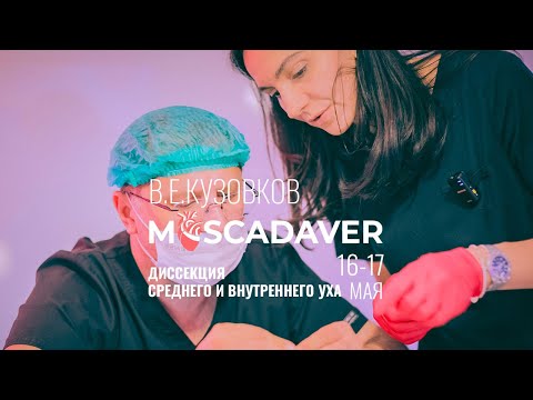 Видео: Диссекция среднего и внутреннего уха
