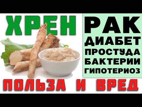 Видео: КОРЕНЬ ХРЕНА - ПОЛЬЗА И ВРЕД (ХРЕН - ПРИРОДНОЕ СРЕДСТВО ОТ ПРОСТУДЫ)