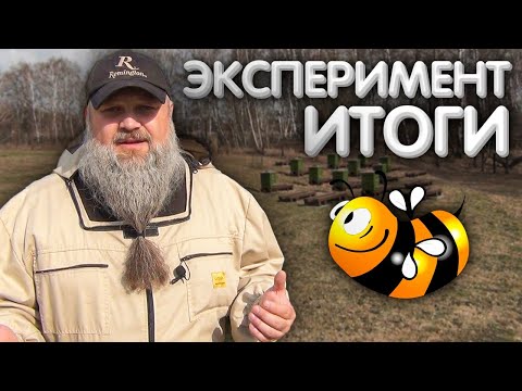 Видео: Утеплять, или не утеплять пчёл в зиму? [4/4] ИТОГИ эксперимента.