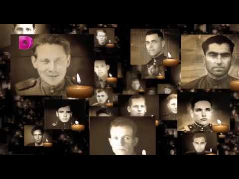 Видео: Светлой памяти павших в борьбе против фашизма. Минута молчания (Домашний, 09.05.2024)