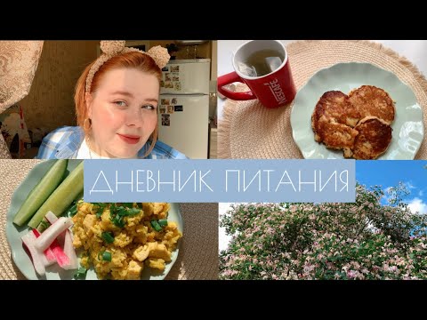 Видео: 12. Дневник питания. Нет чувства голода, новый уход и цвет волос ☀️🌿🥗