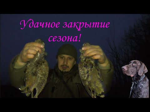 Видео: Ефрат снова выручает! Отлично закрыл сезон охоты!