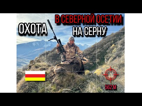 Видео: Сокрушительная #горнаяохота на 562 метра!💯✅🎯 #трофейнаяохота на серну в Северной Осетии! #охота 