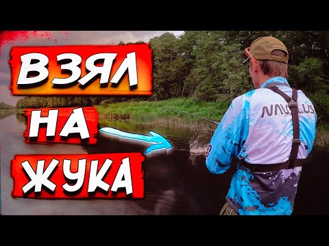 Видео: РЫБАЛКА СПЛАВОМ В ИЮЛЕ! ДВА ДНЯ НА ЖИВОПИСНОЙ РЕКЕ! НЕУЖЕЛИ НАТКНУЛИСЬ НА КРУПНЯК?!