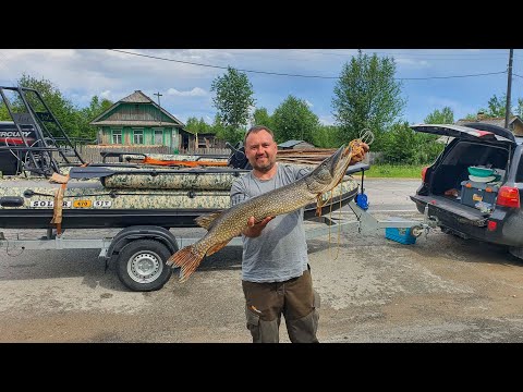 Видео: Рыбалка на р. Колва в июне 2021.
