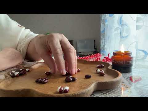 Видео: [ГАДАНИЕ НА БОБАХ] Узнай правду от высших сил