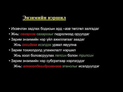 Видео: Биологийн хичээл №9 Энзимийн бүтэц, нэршил