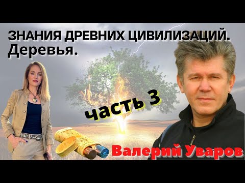 Видео: 💥 САКРАЛЬНЫЕ ЗНАНИЯ ДРЕВНИХ. ДРУИДЫ. ДЕРЕВЬЯ. ЭНЕРГИЯ. ВАЛЕРИЙ УВАРОВ. часть 3