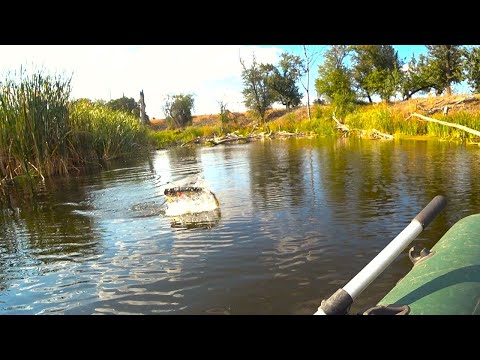 Видео: Щуки и голавли БРОСАЮТСЯ НА ЭТОТ ВЕНТИЛЯТОР!! Рыбалка на спиннинг осенью