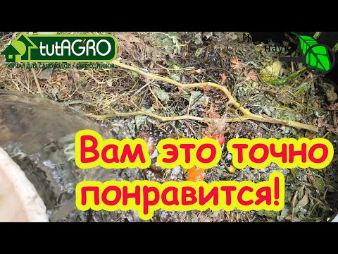 Видео: ОТ ЭТИХ СОВЕТОВ В КОМПОСТЕ СПЛОШНЫЕ СЛИЗНИ! Что добавить от вредителей. Пропадут даже муравьи!