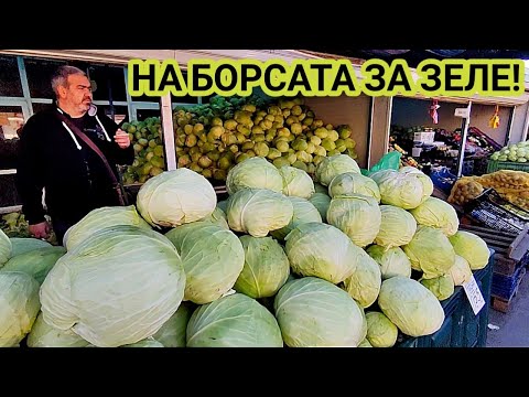 Видео: ГРАД ВАРНА, РАЙОНА ОКОЛО ПЛОД -  ЗЕЛЕНЧУКОВА БОРСА! СТОКА ИМА МНОГО И НА ДОБРА ЦЕНА! ЗЕЛЕ ЗА БИДОНА!