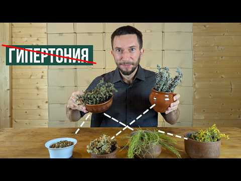 Видео: Травы от давления. Лекарственный сбор от гипертонии