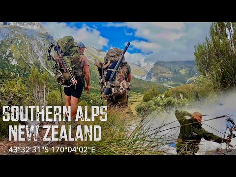 Видео: Охота на тара, ЮЖНЫЕ АЛЬПЫ, Новая Зеландия. ЧАСТЬ 2 [МИРАЖ ОКЕАНА]