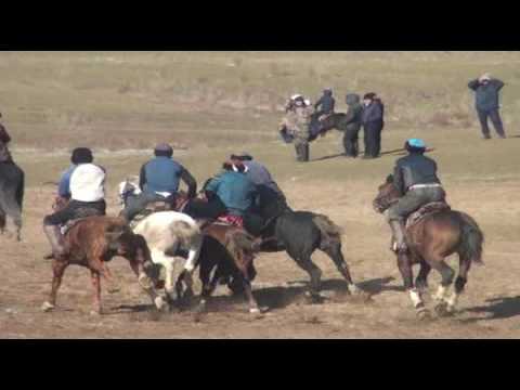 Видео: Кокпар Шардара 04.02.2017ж. 2-бөлім