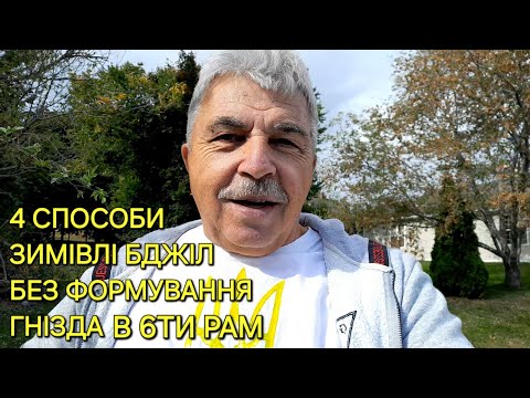 Видео: 4 способи зимівлі бджіл без формування гнізда в 6ти рам #бджільництвов6тирамвуликах