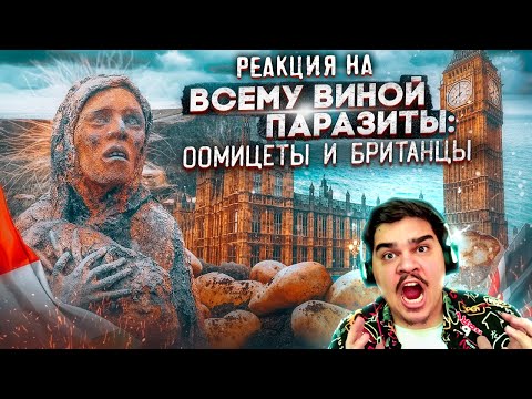 Видео: ▷ Картофельный голод в Ирландии (ЭТО ЗВЕЗДЕЦ...) l РЕАКЦИЯ на Иван Зайцевский