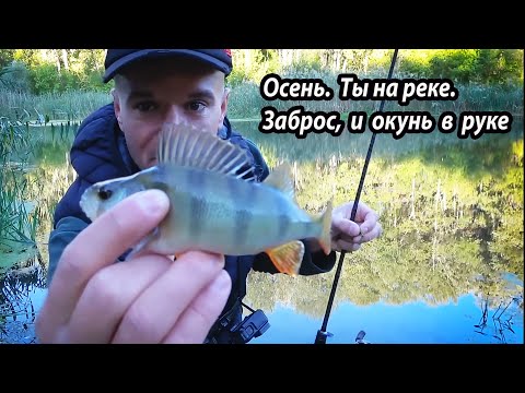 Видео: Душевная осенняя рыбалка. Ультралайт в руке - ты на реке.