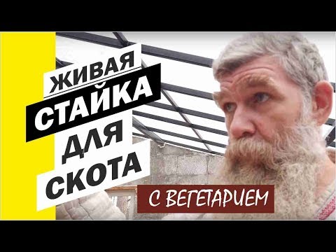 Видео: Живой Дом? Живая Баня? Нет, ЖИВОЙ СКОТНИК с ВЕГЕТАРИЕМ. //Живая Баня Иван Бояринцев
