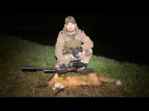 Видео: ⚡НОЧНАЯ ОХОТА НА ЛИСУ С ПРИЦЕЛОМ SFH VARG H50RL PRO