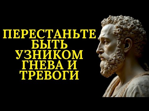 Видео: Перестаньте быть узником гнева и тревоги   Стоицизм