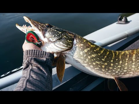 Видео: Эта приманка спасла рыбалку. Смотреть до конца!
