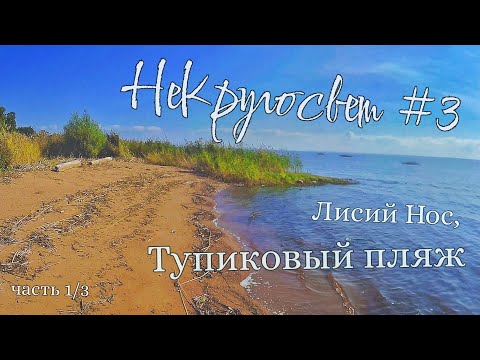 Видео: НеКругосвет #3, ч. 1/3: Лисий Нос, тупиковый пляж, непростые домики. Последние километры внутри КАД.