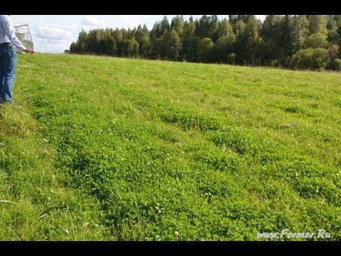 Видео: КФХ Александра Москвина. Дернинная сеялка Kockerling и результат её работы