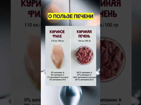 Видео: О пользе печени