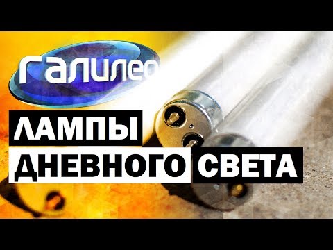Видео: Галилео. Лампы дневного света 💡 Fluorescent lights