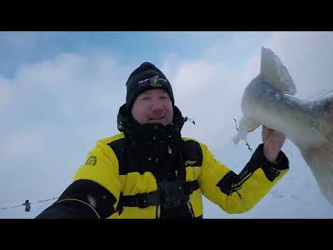 Видео: Ловля судака на ратлины. Судак на вибы.