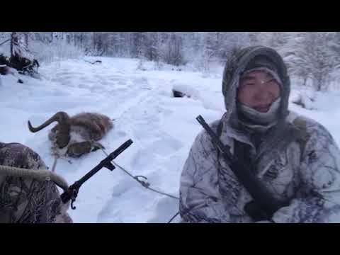 Видео: Кыымаан булчуттара 02