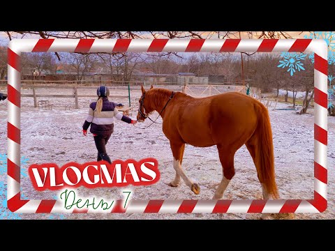 Видео: 🎄VLOGMAS ❄️ Снежный ДЕНЬ в КОНЮШНЕ | Сборы на тренировку 🐴