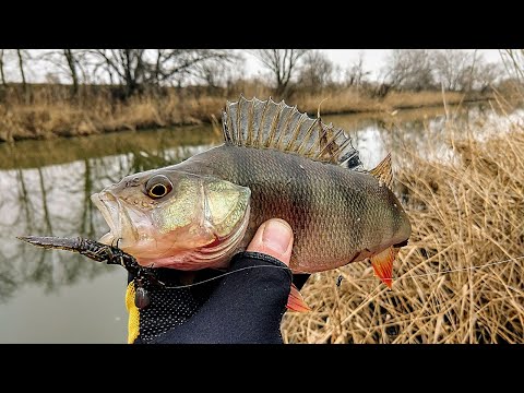 Видео: ЛОВЛЯ на МИКРОДЖИГ р.ОРЕЛЬ, ультралайтом CRAZY FISH ARION 702uls.