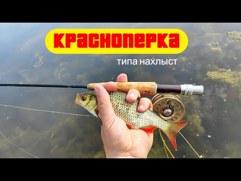 Видео: #нахлыст | Красноперка | Nac Corp. Micro FY49 #3/4 6pcs. |