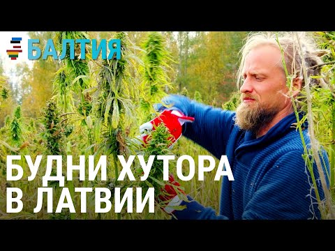 Видео: Латвийский хутор | БАЛТИЯ