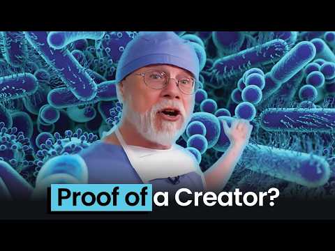 Видео: ДНК-код или случайность? Секреты генной инженерии бактерий