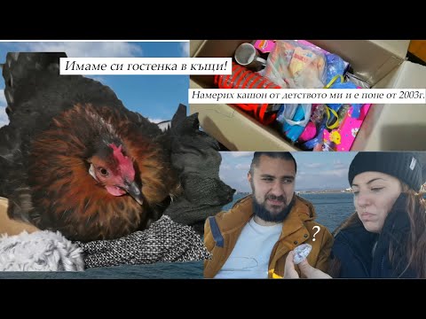 Видео: ДНЕВЕН ВЛОГ I Имаме си гостенка в къщи за 1 месец.