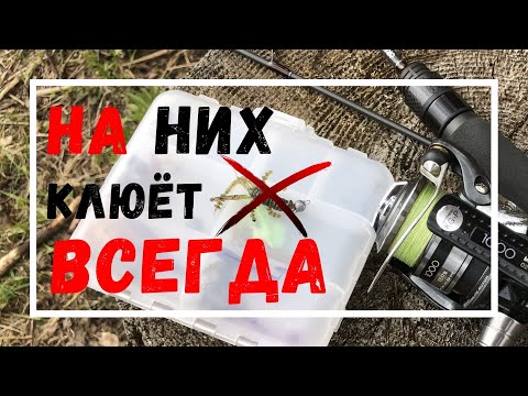 Видео: ТОП 3 ПРИМАНКИ ДЛЯ МИКРОДЖИГА | ЛОВЛЯ ОКУНЯ НА СПИННИНГ