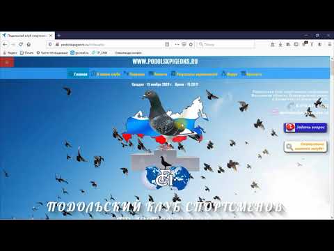 Видео: Как на сайте Подольского клуба голубеводов посмотреть результаты полетов спортивных голубей