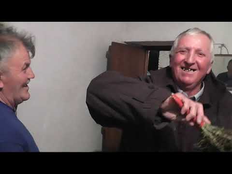 Видео: Документарна: ВОДИЦИ Завој, Охридско