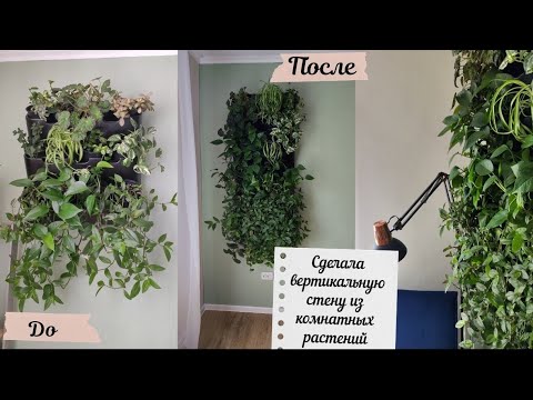 Видео: Вертикальная стена из комнатных растений /Urban Jungle/ Сделала зону для чтения /Фитомодуль"Boxsand"