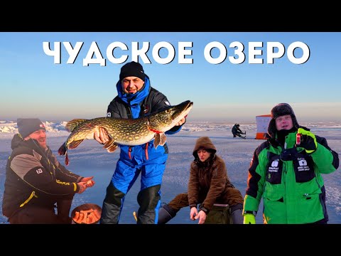 Видео: Щука-сюрприз и встреча с видеоблогером - зимняя рыбалка с друзьями на Чудском озере