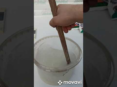 Видео: Выгонка тюльпанов   ,подкормка тюльпанов.