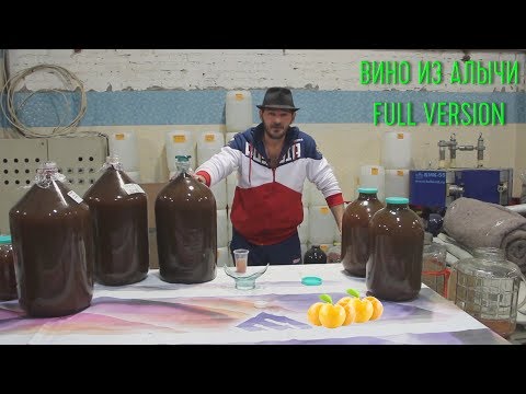 Видео: Домашнее вино из дикой алычи. Полная версия.