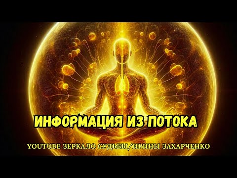 Видео: Информация из потока.