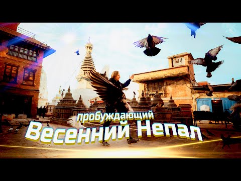 Видео: ВЕСЕННИЙ НЕПАЛ: Тропы, которые изменили нас!