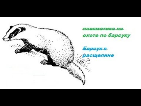 Видео: Применение пневматики в охоте на барсука
